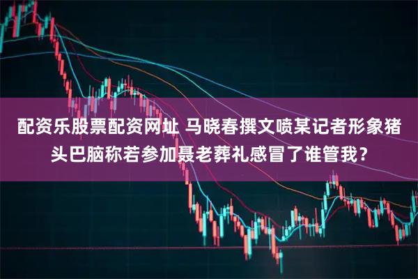 配资乐股票配资网址 马晓春撰文喷某记者形象猪头巴脑称若参加聂老葬礼感冒了谁管我？