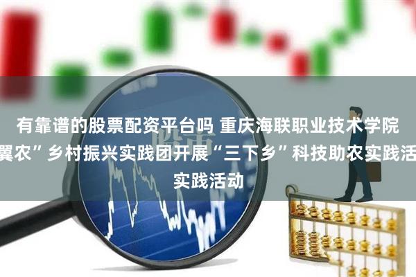 有靠谱的股票配资平台吗 重庆海联职业技术学院“翼农”乡村振兴实践团开展“三下乡”科技助农实践活动